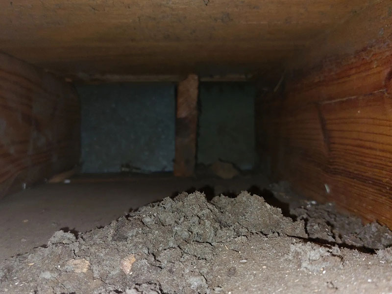 wooden air duct with pile of dust and cobwebs