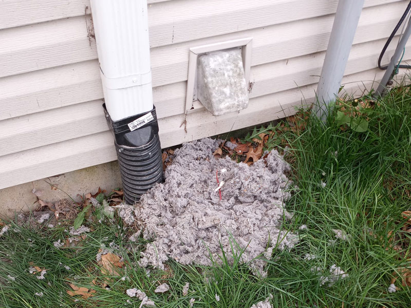 pile of lint and dust on grass outside building after dryer vent cleaning
