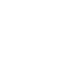 icon-03